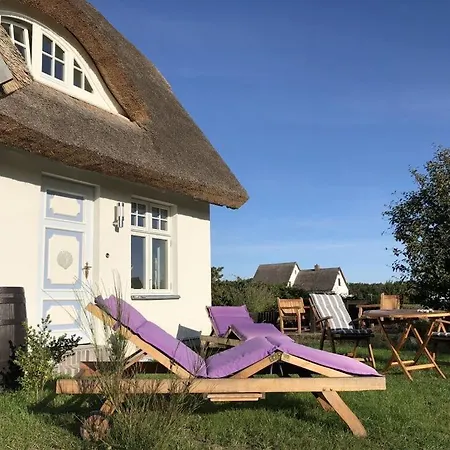 Inselhaus Dost דירה