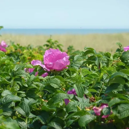 דירה Inselhaus Dost *