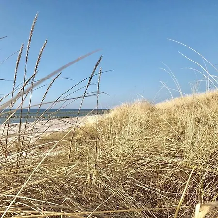 Inselhaus Dost דירה Neuendorf (Hiddensee)